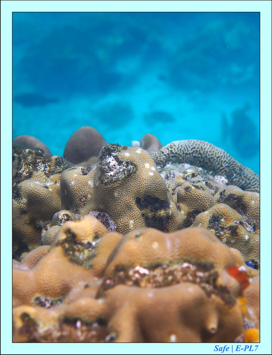 2015   07   Peranthian Islands 69